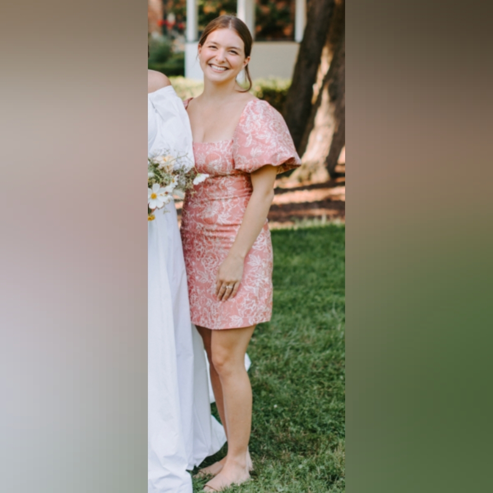 Sachin + Babi Kendal Puff Sleeve Dress In Rose